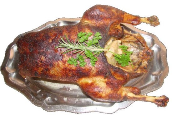 SCRC Wallachia - Husa a pinec